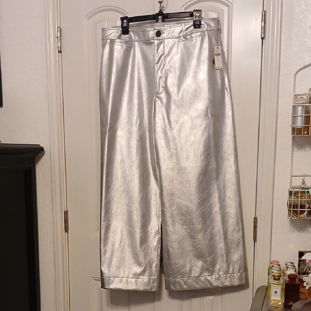 Silver Wide-Leg Pants